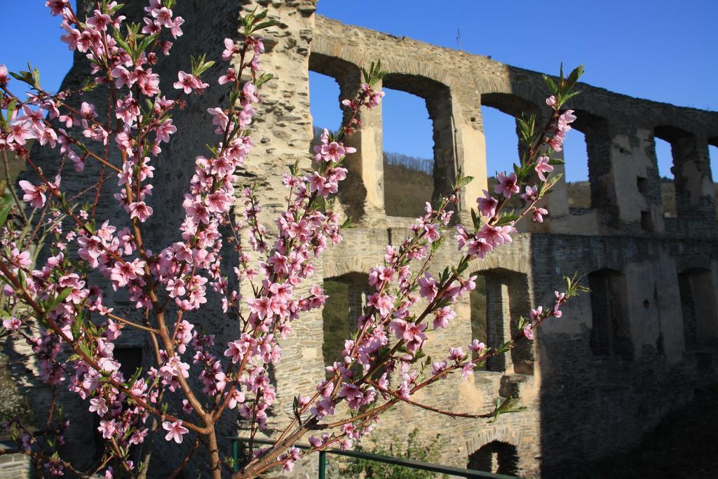 Fewo Purper Frauenberg Exterior photo